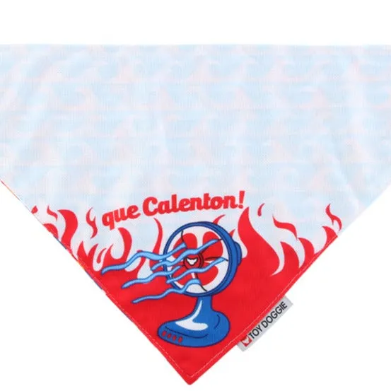 CoolCanine Reversible Bandana | Baja Pal Calenton