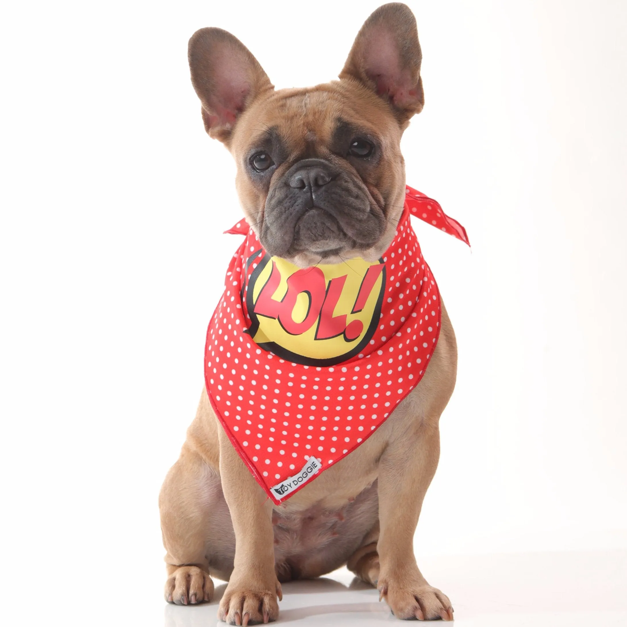 LOL! Cooling Down Dog Bandana